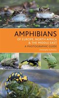 Amphibians of Europe, North Africa and the Middle East Dufresnes Christophe