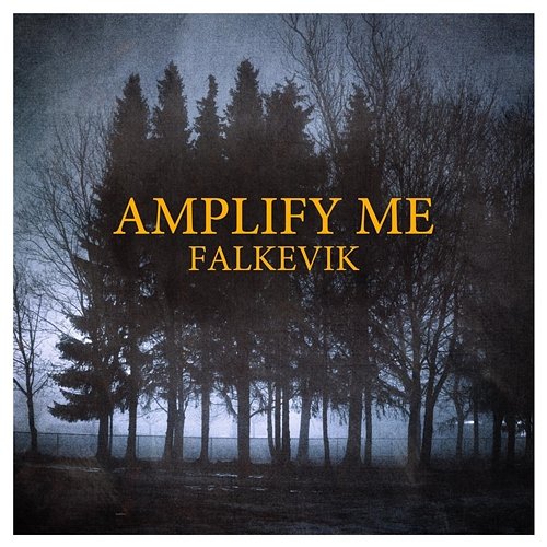 Amplify Me Falkevik