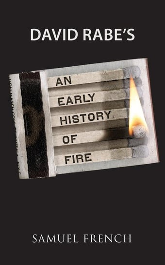 An Early History of Fire Rabe David