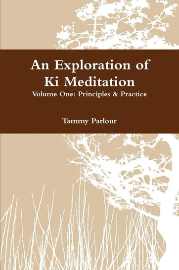 An Exploration of KI Meditation Parlour Tammy
