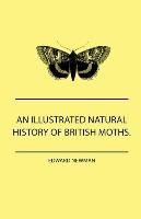 An Illustrated Natural History Of British Moths. With Life-Size Figures From Nature Of Each Species, And Of The More Striking Varieties - Also, Full Descriptions Of Both The Perfect Insect And The Caterpillar, Together With Dates Of Appearance, And Locali Newman Edward