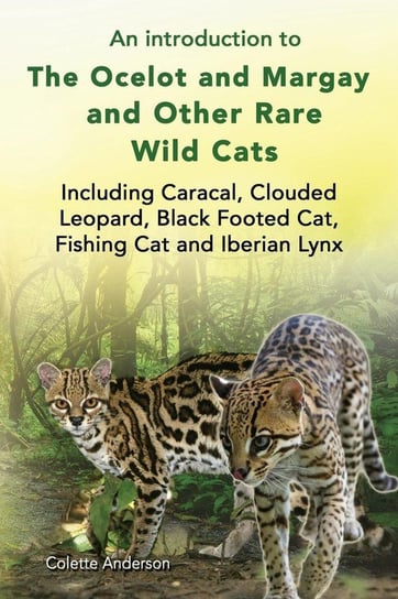 An introduction to The Ocelot and Margay and Other Rare Wild Cats Including Caracal, Clouded Leopard, Black Footed Cat, Fishing Cat and Iberian Lynx Anderson Colette