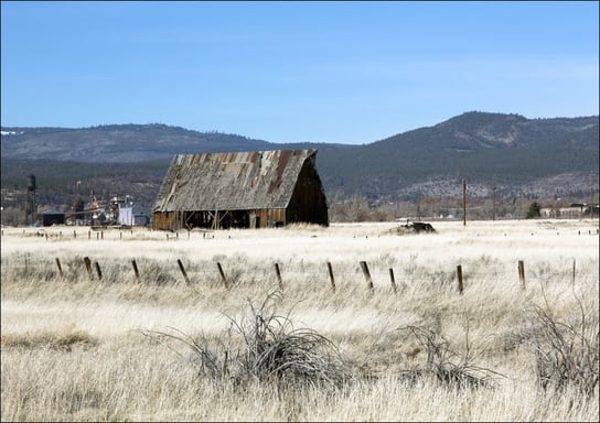 An old hay barn on the outskirts of Susanville, seat of Lassen County, California, Carol Highsmith - plakat 100x70 cm Galeria Plakatu