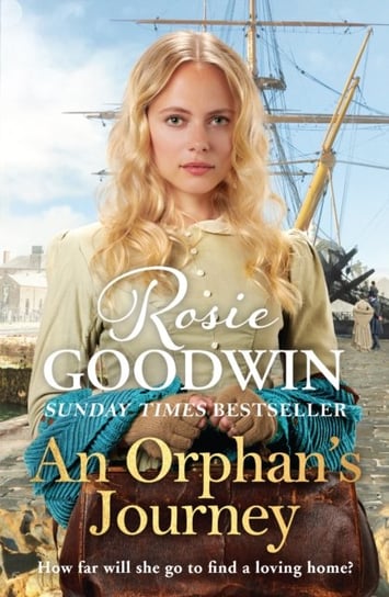 An Orphans Journey Rosie Goodwin
