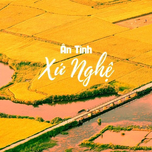 Ân Tình Xứ Nghệ Cẩm Anh