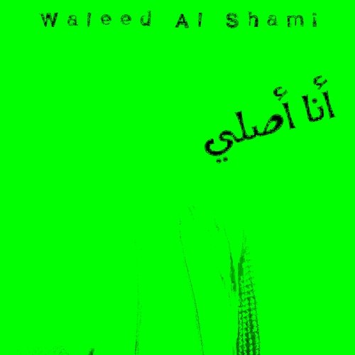 Ana Asli Waleed Al Shami