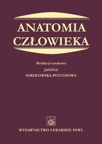 Anatomia człowieka Pitucha-Sokołowska Janina