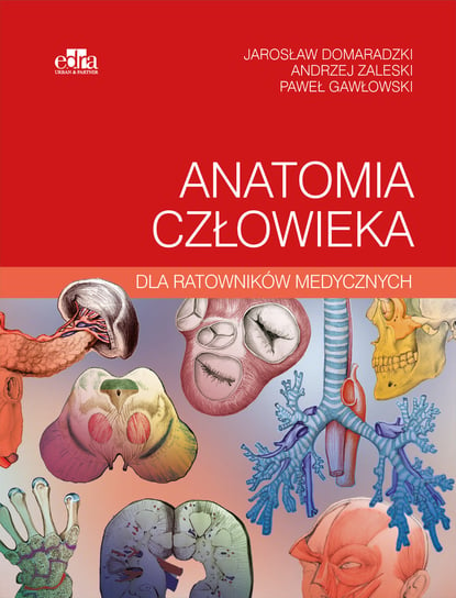 Anatomia człowieka dla ratowników medycznych Domaradzki J., Zaleski A., P. Gawłowski