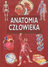 Anatomia człowieka. Ilustrowana encyklopedia Opracowanie zbiorowe