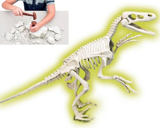 Anatomia Dinozaura Archeologia Dla Dzieci Zestawy Kreatywne Zabawki Eksperymenty Clementoni