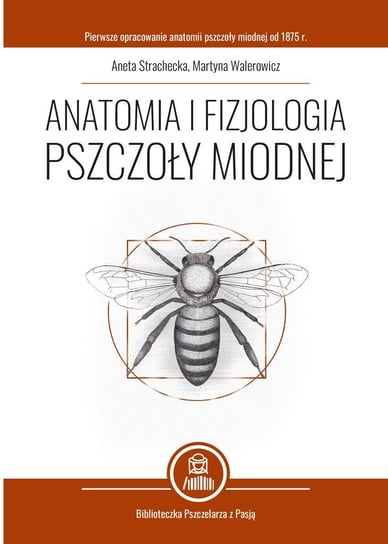 Anatomia i fizjologia pszczoły miodnej Opracowanie zbiorowe