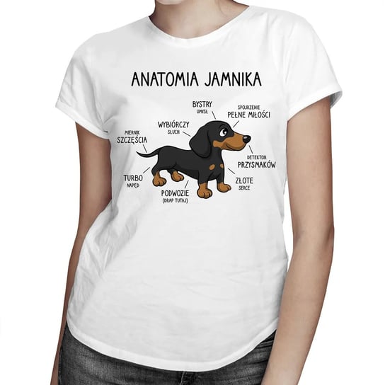 Anatomia jamnika - damska koszulka na prezent Biała Koszulkowy