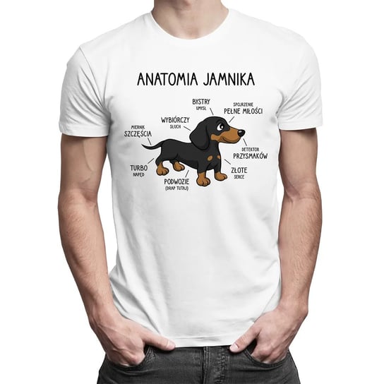 Anatomia jamnika - męska koszulka na prezent Biała Koszulkowy