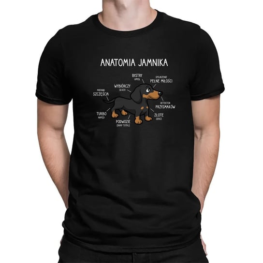 Anatomia jamnika - męska koszulka na prezent Czarna Koszulkowy