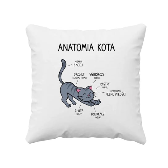 Anatomia kota - poduszka z kotem na prezent Koszulkowy