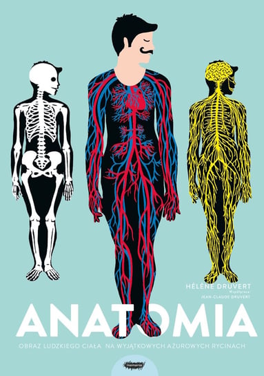 Anatomia. Obraz ludzkiego ciała na wyjątkowych ażurowych rycinach Druvert Helene