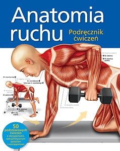 Anatomia ruchu. Podręcznik ćwiczeń Ashwell Ken