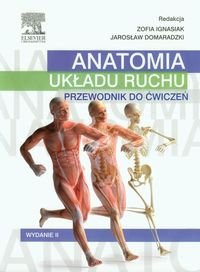 Anatomia układu ruchu. Przewodnik do ćwiczeń Opracowanie zbiorowe