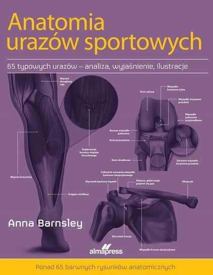 Anatomia urazów sportowych Anna Barnsley