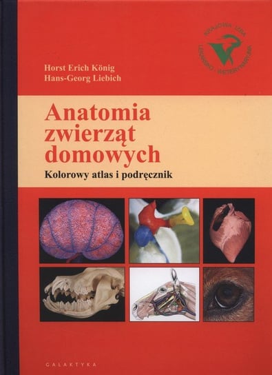 Anatomia zwierząt domowych. Kolorowy atlas i podręcznik Konig Horst Erich, Liebich Hans-Georg