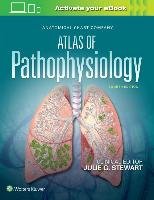 Anatomical Chart Company Atlas of Pathophysiology Stewart Julie G.