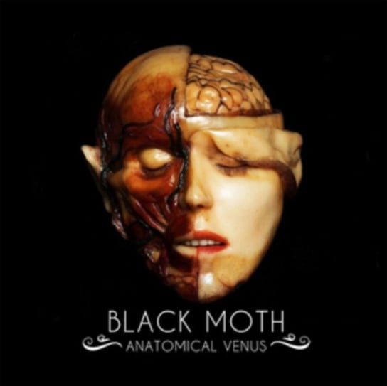 Anatomical Venus Black Moth