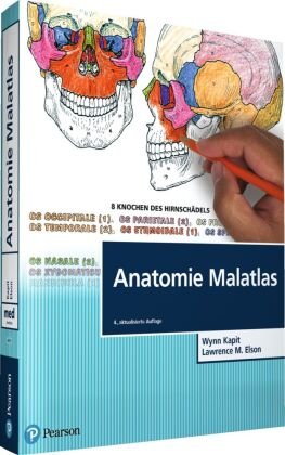 Anatomie Malatlas Pearson Studium