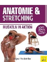 Anatomie & Stretching (Anatomie & Sport, Band 2) Seijas Guilermo