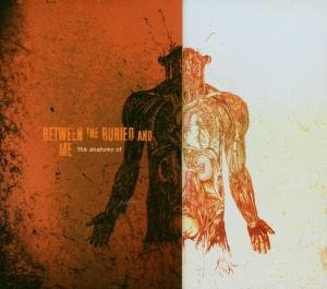 Anatomy Of Between The Buried And Me