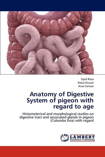 Anatomy of Digestive System of pigeon with regard to age Raza Sajid