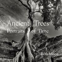 Ancient Trees Moon Beth