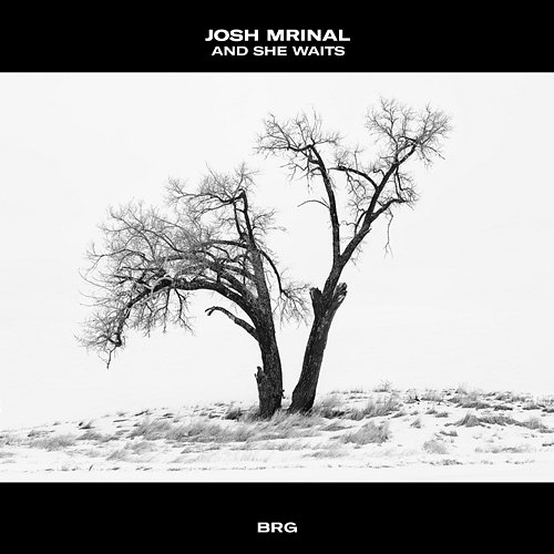 And She Waits Josh Mrinal