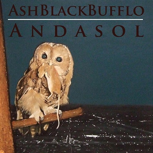 Andasol Ash Black Bufflo