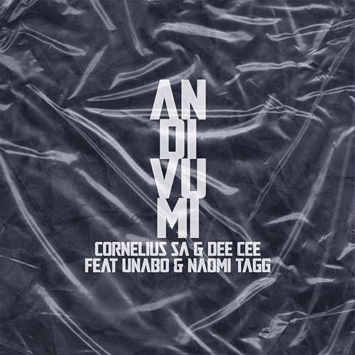 Andivumi Cornelius SA and Dee Cee feat. Naomi Tagg, Unabo