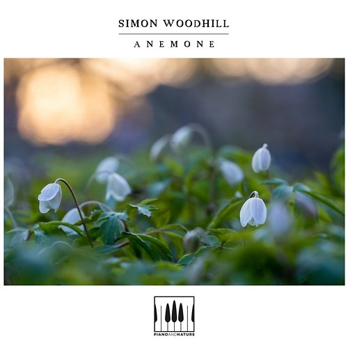 Anemone Simon Woodhill