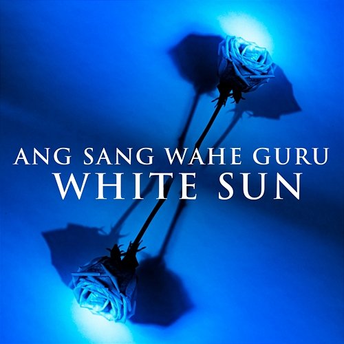 Ang Sang Wahe Guru White Sun