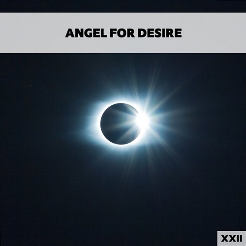 Angel For Desire XXII Various Artists