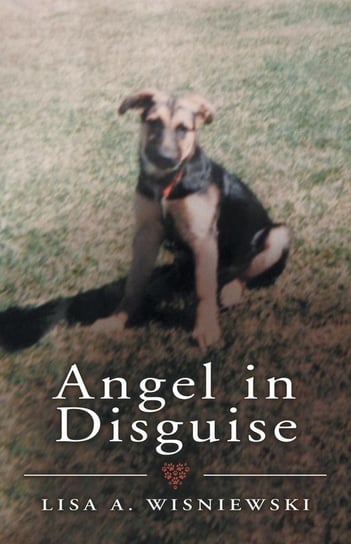 Angel in Disguise Author