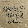 Angels Never Die Lemon Straw