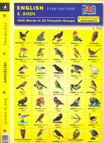 Angielski 6 Birds. Dobierz do pary Opracowanie zbiorowe