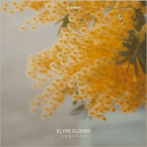 Angsana Elyse Cloudd
