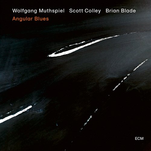 Angular Blues Wolfgang Muthspiel, Scott Colley, Brian Blade