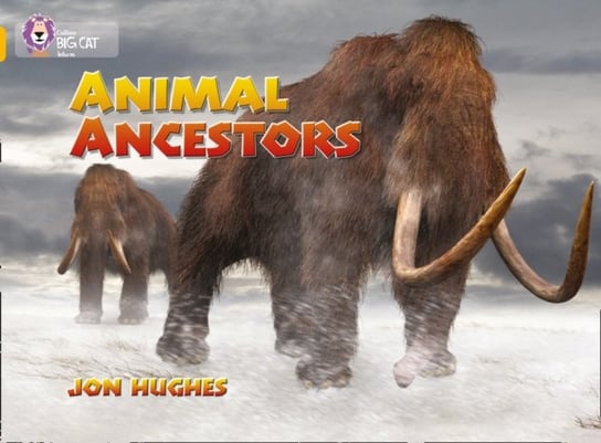 Animal Ancestors Jon Hughes