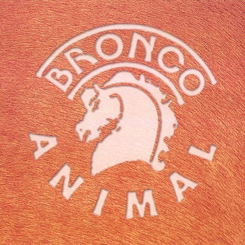 Animal Bronco