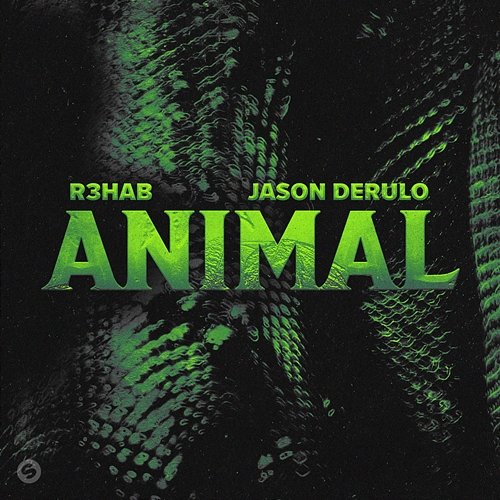 Animal R3hab, Jason Derulo