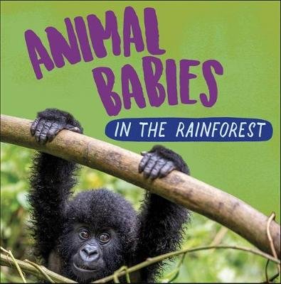 Animal Babies: In the Rainforest Ridley Sarah