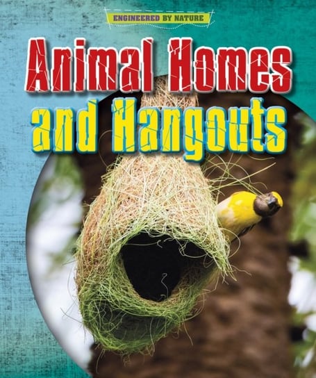 Animal Homes and Hang-outs Louise Spilsbury