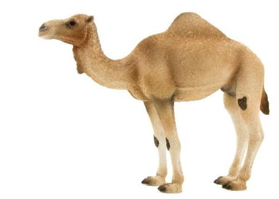 ANIMAL PLANET 7113 Wielbłąd arabski rozmiar: XL (GXP-532703) Mojo