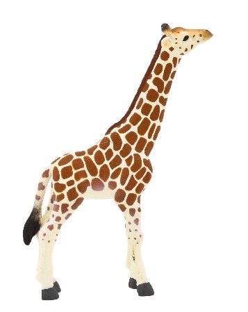 Animal Planet, Figurka kolekcjonerska, Młoda Żyrafa, 7007 Mojo
