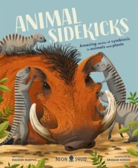 Animal Sidekicks. Amazing Stories of Symbiosis in Animals and Plants Macken Neon Squid